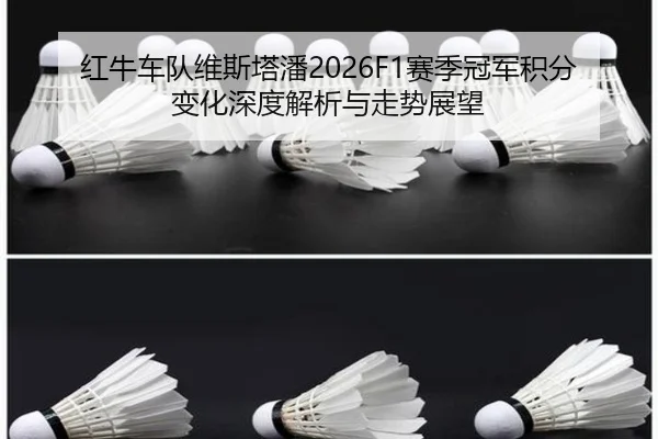 红牛车队维斯塔潘2026F1赛季冠军积分变化深度解析与走势展望